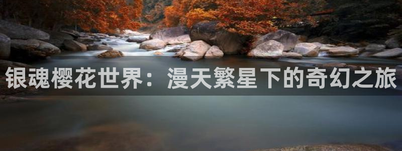 动漫之家排行