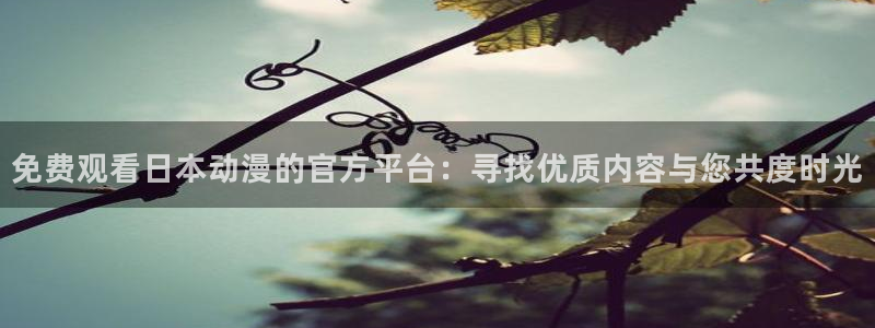 动漫之家下载版：免费观看日本动漫的官方平台：寻找优质内容与您共度时光