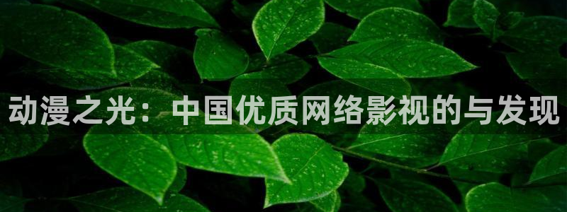 动漫之家下载路径：动漫之光：中国优质网络影视的与发现