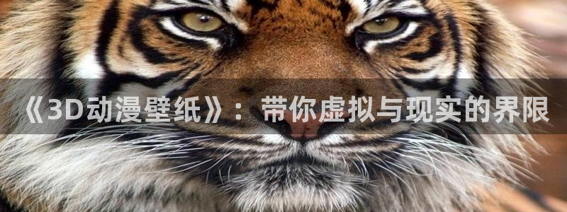 妖精动漫之家：《3D动漫壁纸》：带你虚拟与现实的界限